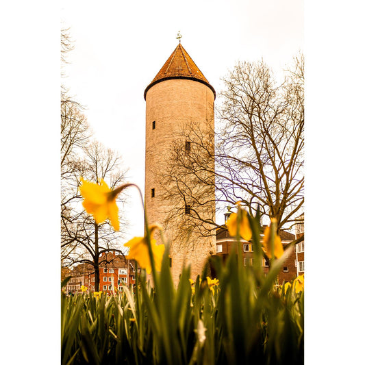 Acrylglasbild - Buddenturm