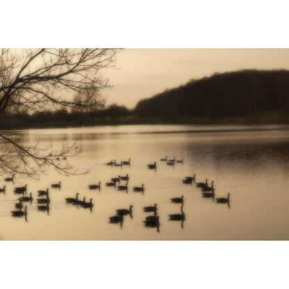 Acrylglasbild - Aasee Münster