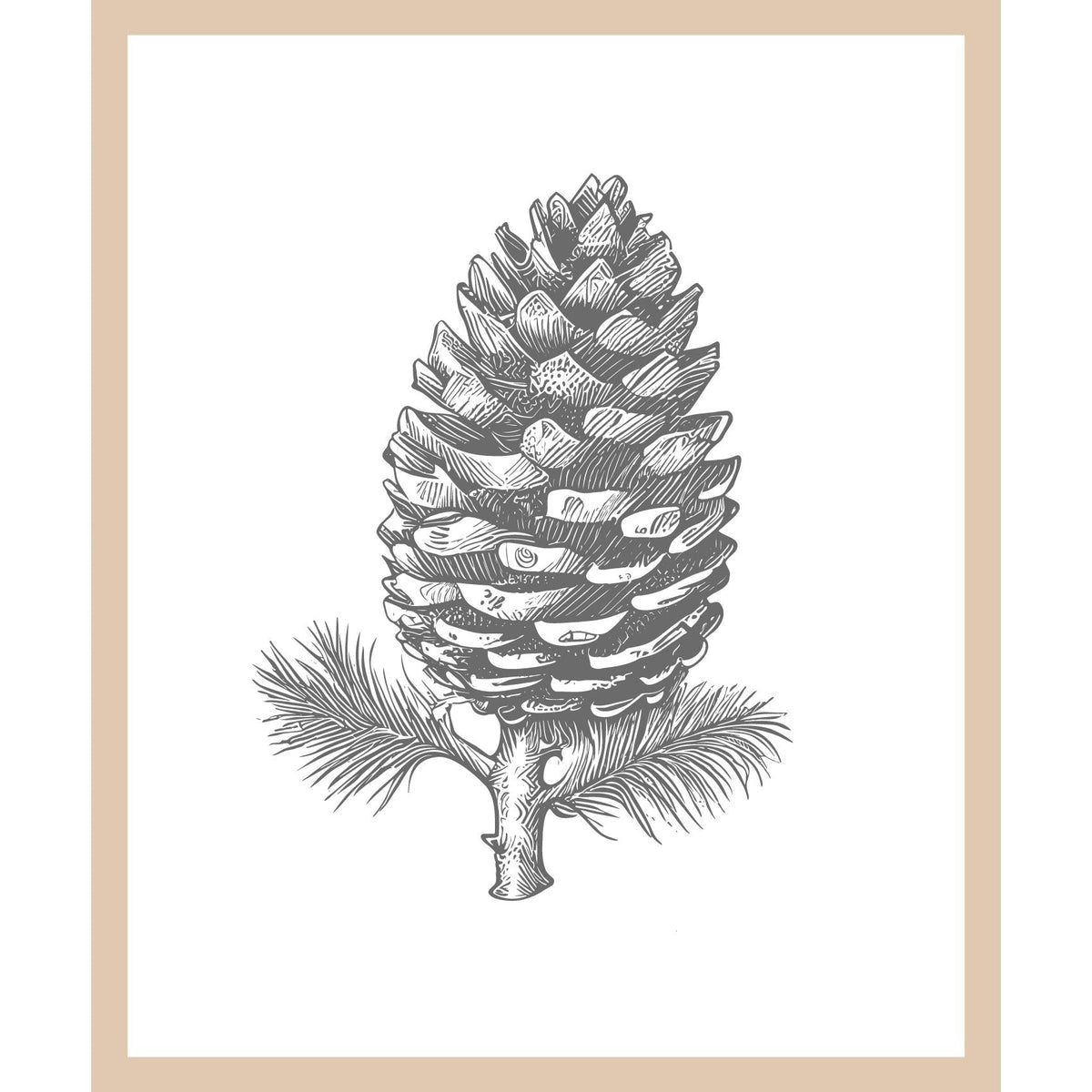 Rahmenbild - Tannenzapfen Illustration