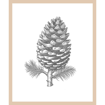 Rahmenbild - Tannenzapfen Illustration