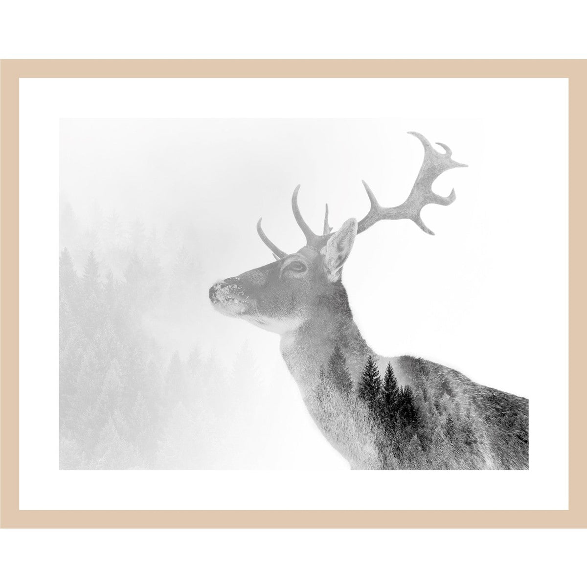 Rahmenbild - Damhirsch Porträt mit Waldsilhouette