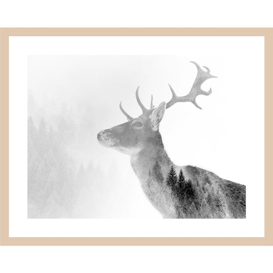 Rahmenbild - Damhirsch Porträt mit Waldsilhouette