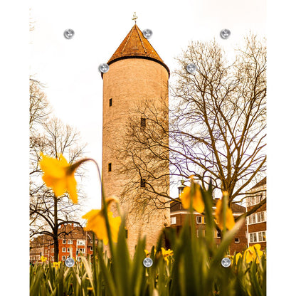 Garderobe - Münster - Buddenturm